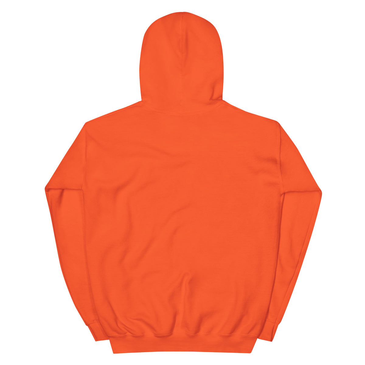GEEN ZIN Hoodie – Oranje/Royal – productfoto achterkant, GEEN ZIN geborduurd